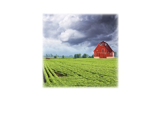 Green Field & Barn-Legacy Two Urn Vault Print