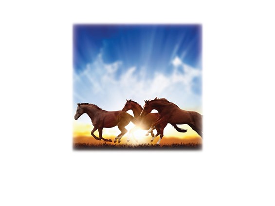 Horses-Legacy Two Urn Vault Print