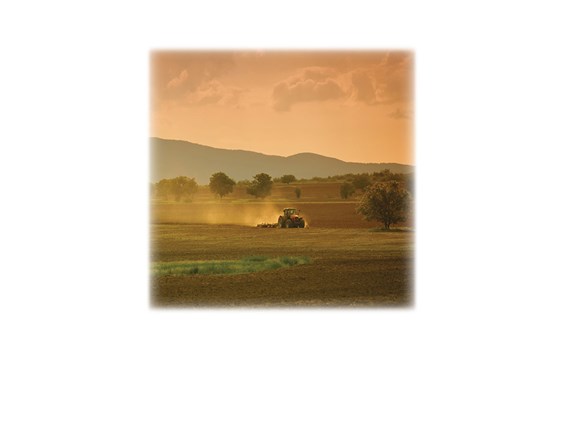 Farm Field & Tractor-Legacy Two Urn Vault Print