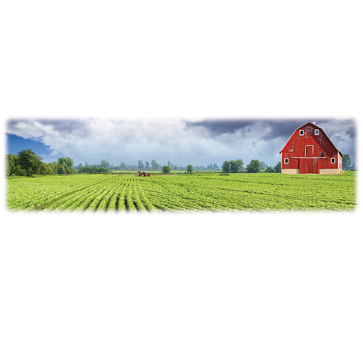 Green Field and Barn-Wilberty Legacy Two Print