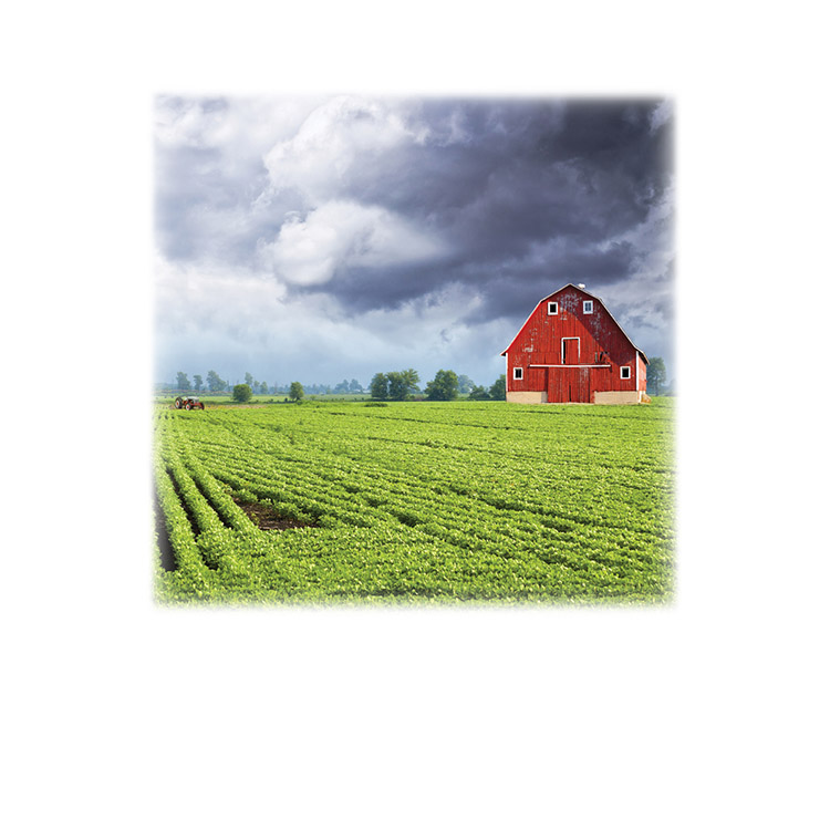 Green Field & Barn-Legacy Two Urn Vault Print