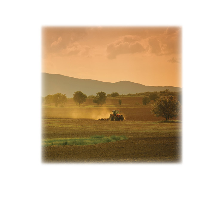 Farm Field & Tractor-Legacy Two Urn Vault Print