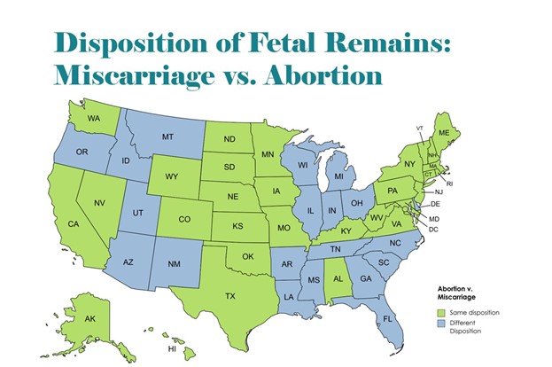 fetal_remains2